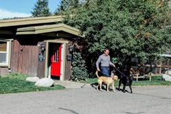 Vail Valley Animal Hospital and pet boarding, pet boarding near Beaver Creek, Beaver Creek dog daycare near Vail, Colorado