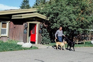 Vail Valley Animal Hospital, vets near Beaver Creek, CO; veterinarianes near Beaver Creek Vail Colorado