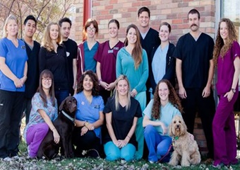 Vail Valley Animal Hospital, vets near Beaver Creek, CO; veterinarianes near Beaver Creek Vail Colorado