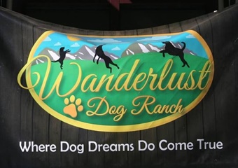 Wanderlust Dog Ranch, pet boarding near Beaver Creek, Beaver Creek dog daycare near Vail, Colorado