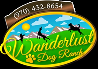 Wanderlust Dog Ranch, pet boarding near Beaver Creek, Beaver Creek dog daycare near Vail, Colorado