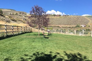 Wildridge Dog Park, dog parks near Beaver Creek, CO, Vail dog parks and hiking trails, Eagle County Dog Parks near Beaver Creek