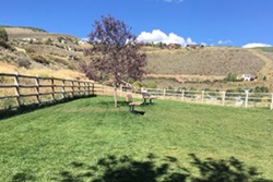 Wildridge Dog Park, dog parks near Beaver Creek, CO, Vail dog parks and hiking trails, Eagle County Dog Parks near Beaver Creek