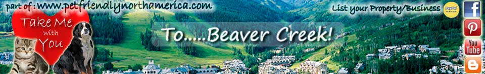 pet friendly beaver creek